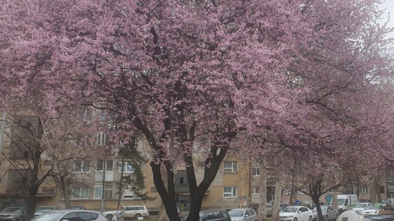 Sunce tek za vikend, danas ispod proseka za ovo doba godine