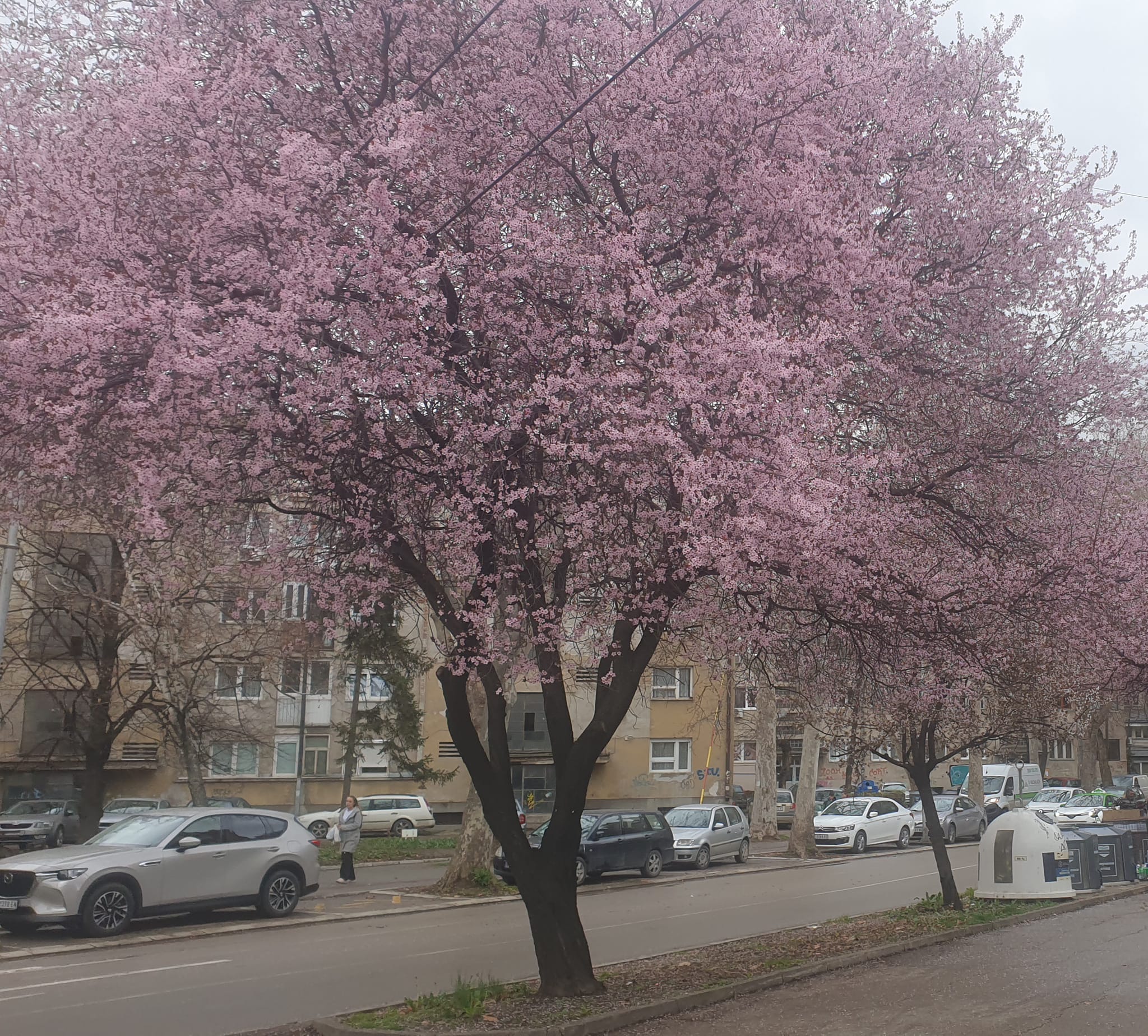 Sunce tek za vikend, danas ispod proseka za ovo doba godine