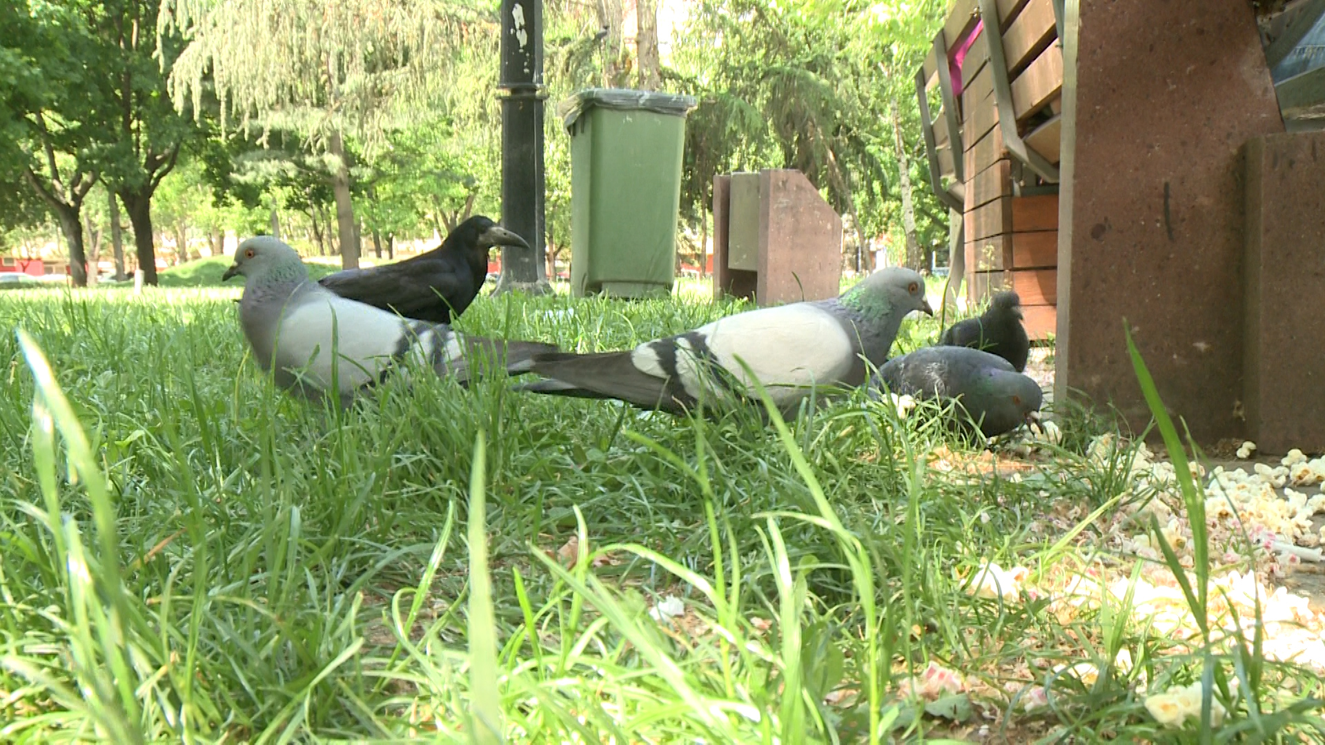 Uskršnji praznici uz kišu, oblake i niže temperature (VIDEO)