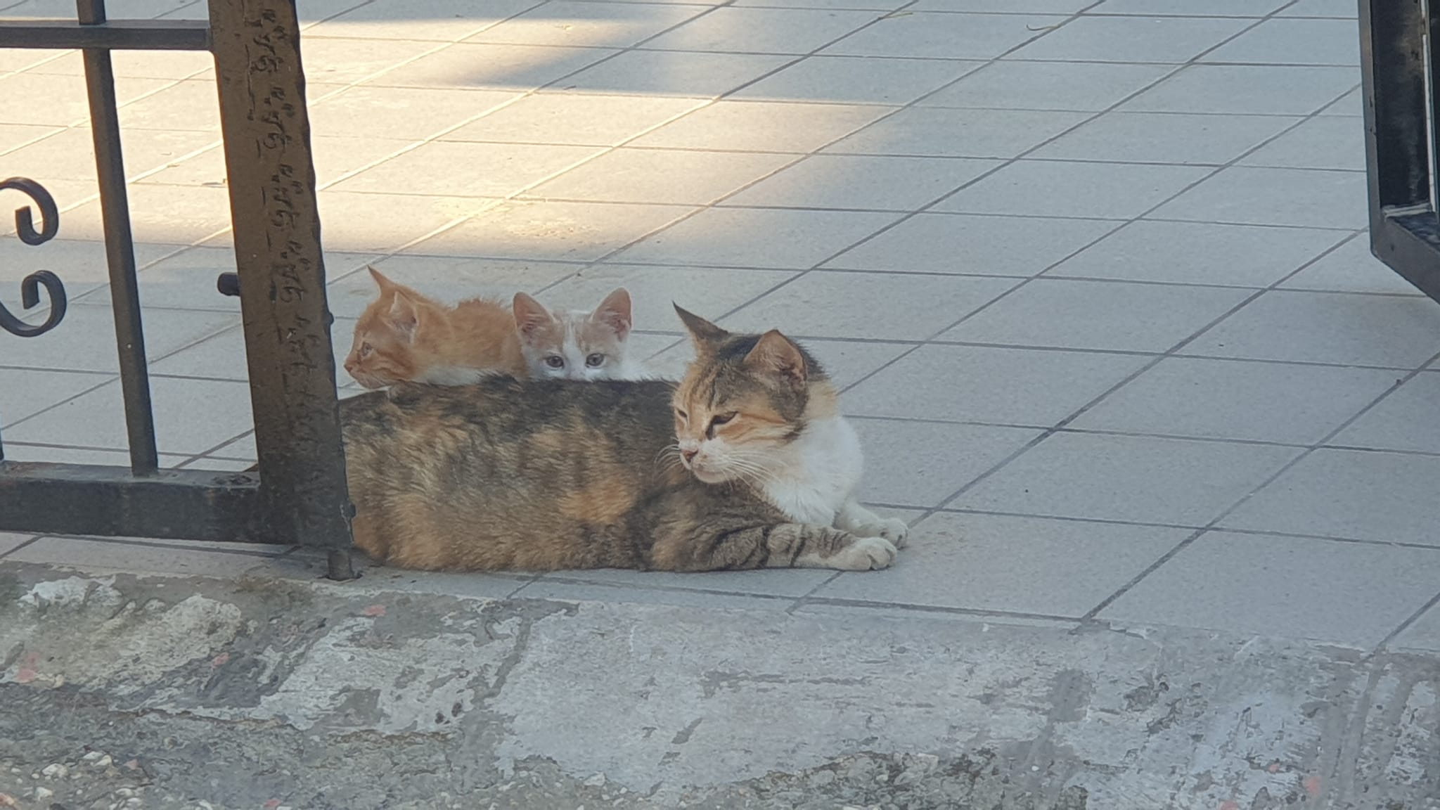 Prijatnije noći tek za vikend, neznatno zahlađenje stiže u subotu