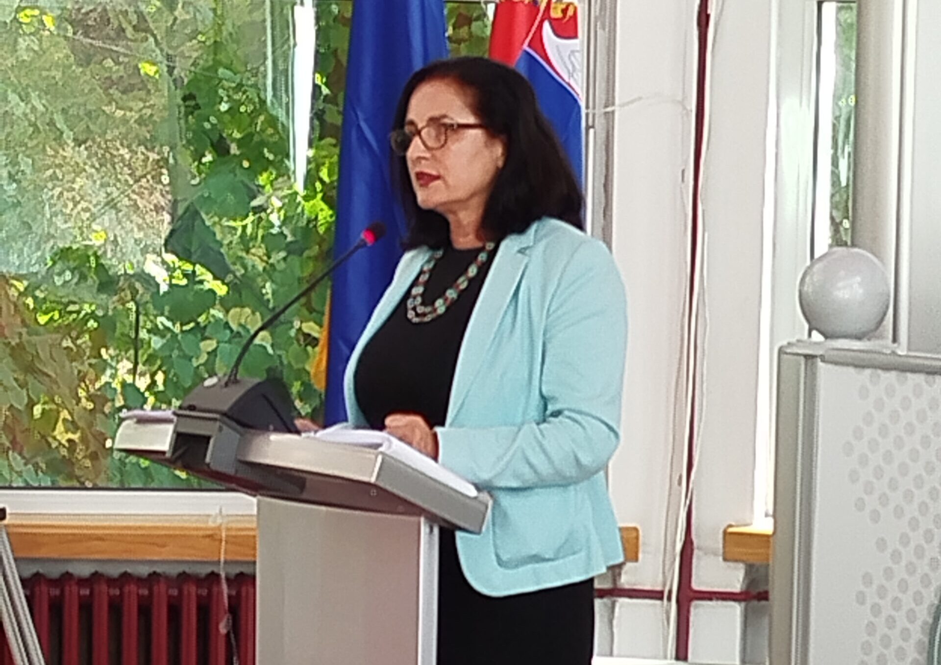 Prof. Tamara Milenković Kerković: Saopštenje o neuspehu smene gradonačelnika Niša