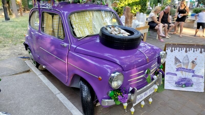 Fića kao iz snova: Ljubičasta legenda u cvetnom ruhu krasi Sokobanju