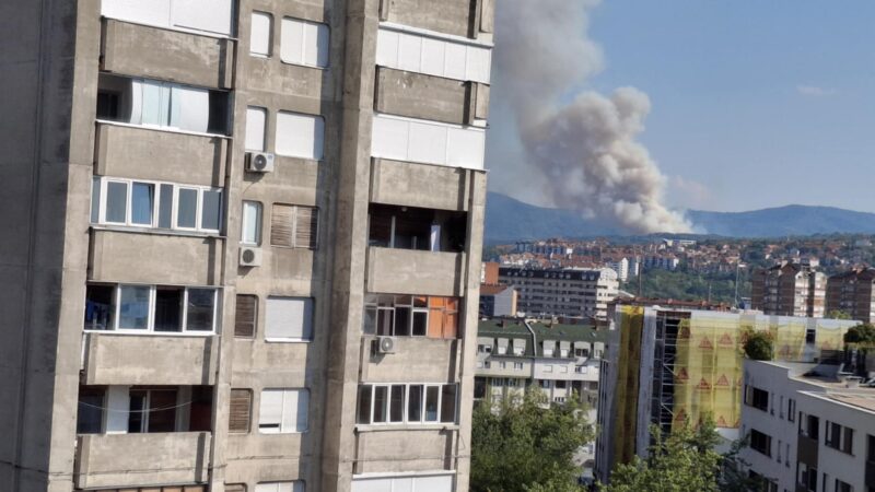 Požar u selu Vlase iznad Niša – vatrogasci na terenu