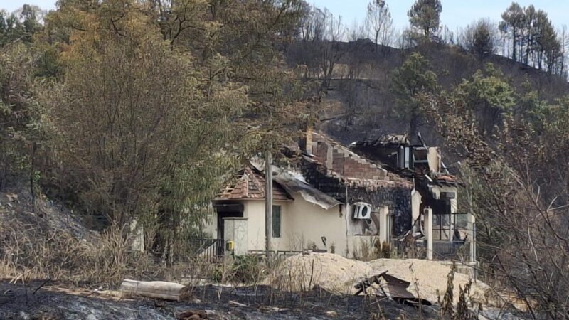 Pakleni vikend: Više od 200 požara, vanredna situacija u Vranju, vatra preti i dalje