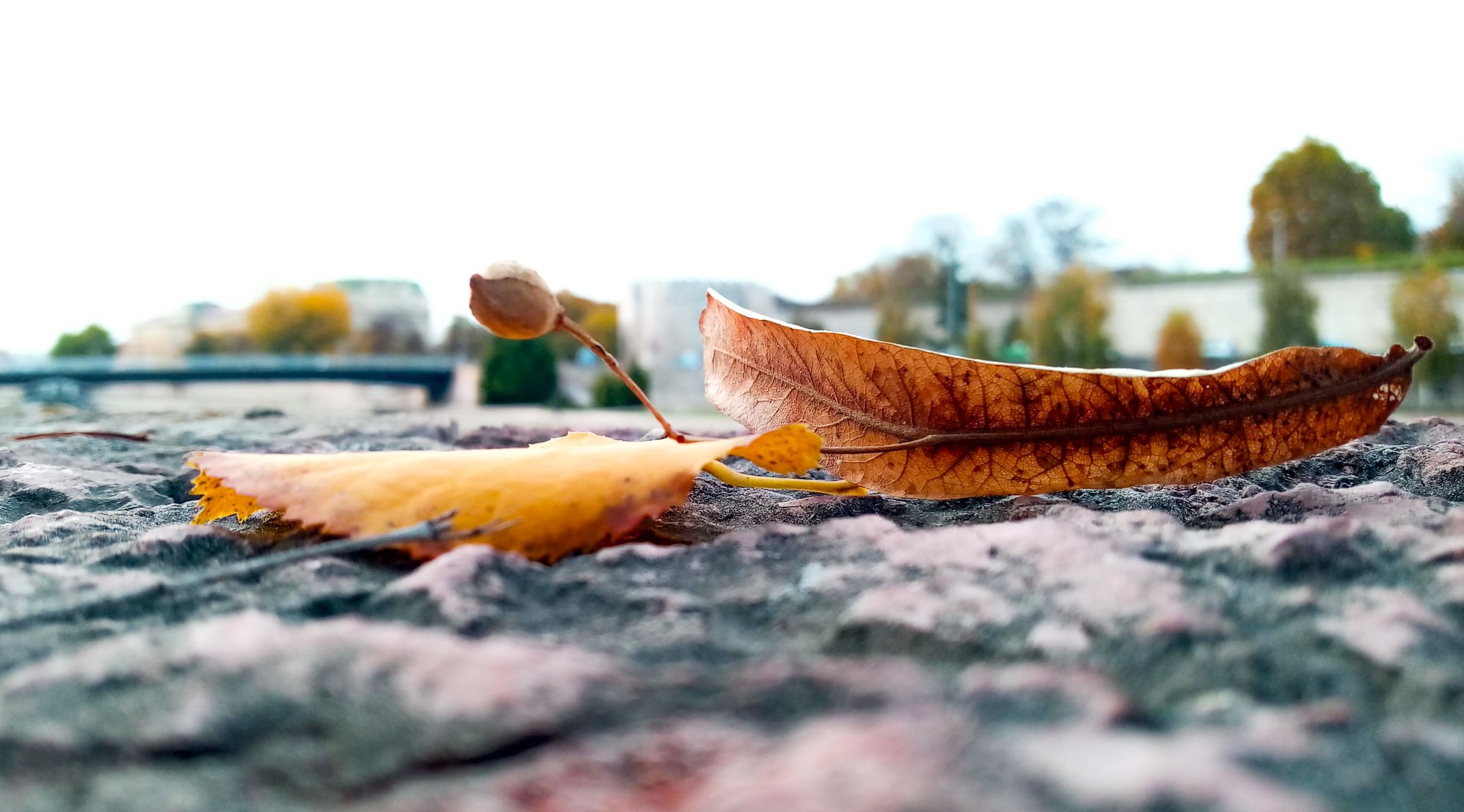 Prvog dana Pravoslavne nove godine otopljenje, u petak toplije od proseka, za vikend košava