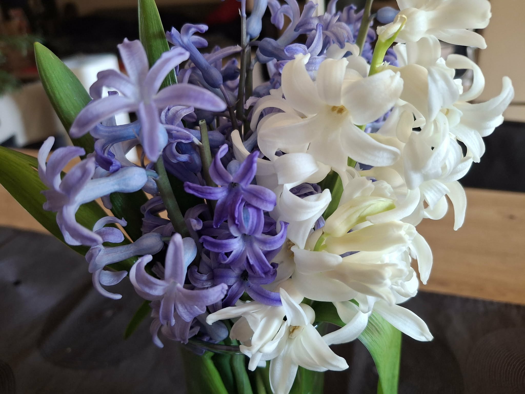 I za vikend sunčano i toplo, moguća kiša tek od utorka